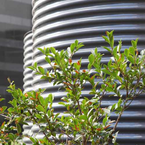 crusaders-plumbing-water-tanks-olivedale-home-installation